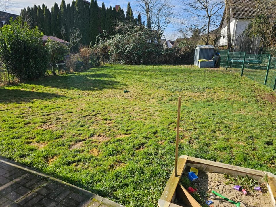 Spring, Day, Natural landscape, Garden, Garden, Garden view