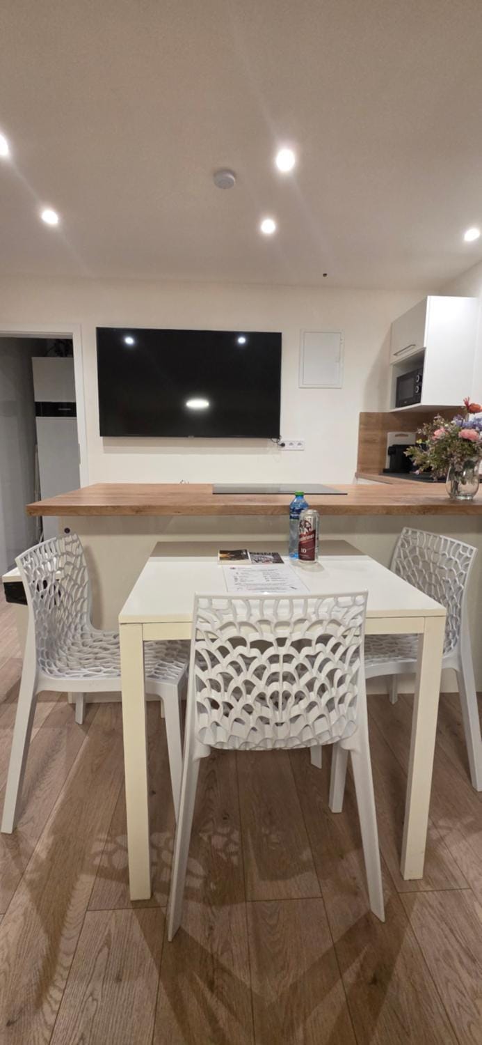 Haas Apartments Slepa, city centre, parking, courtyard Apartment in Brno