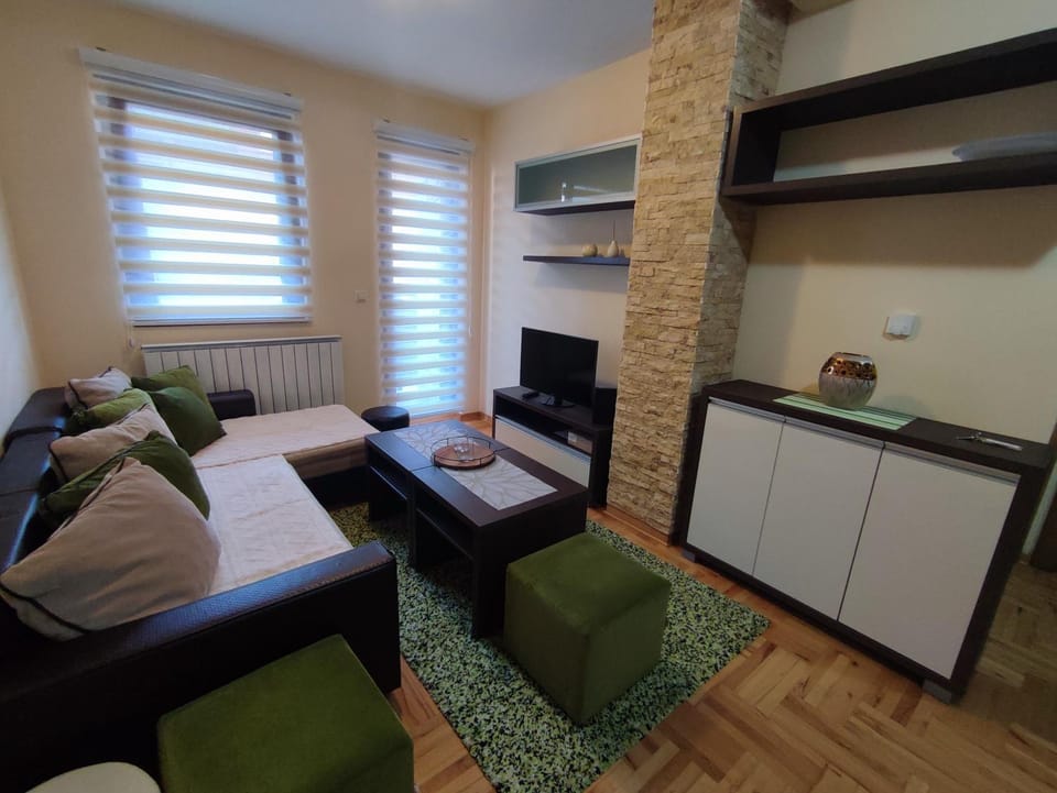 Apartman Bogdan 11/3 Apartment in Zlatibor