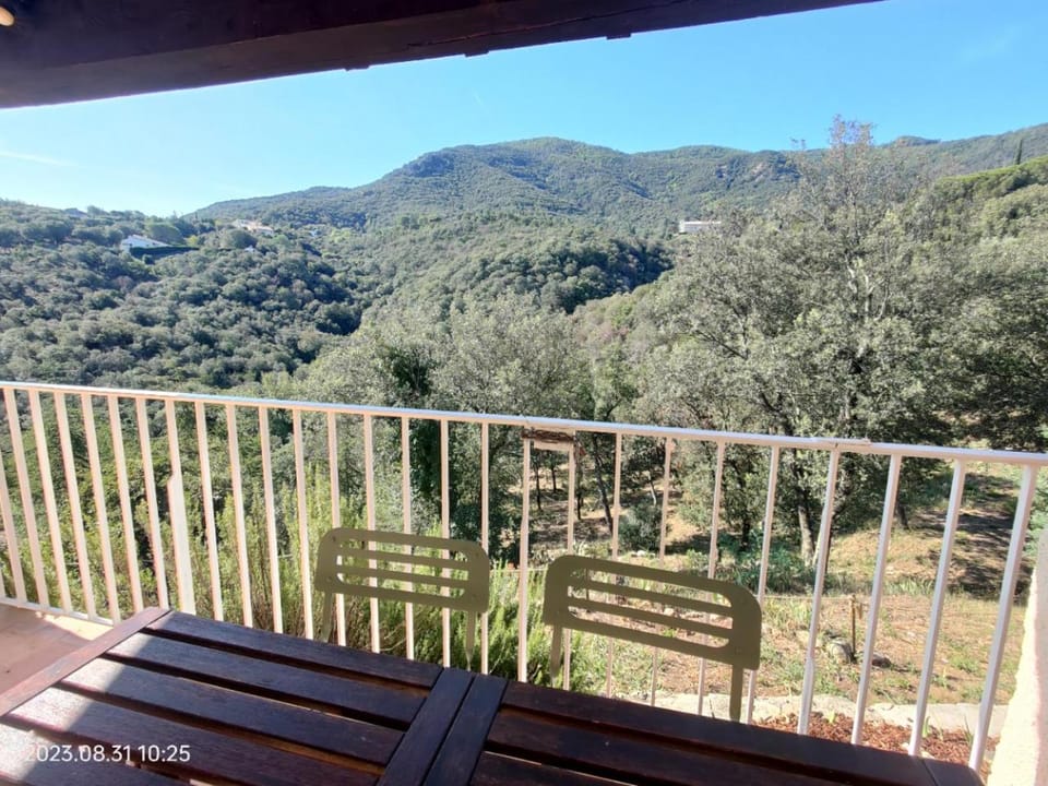 Balcony/Terrace, Mountain view