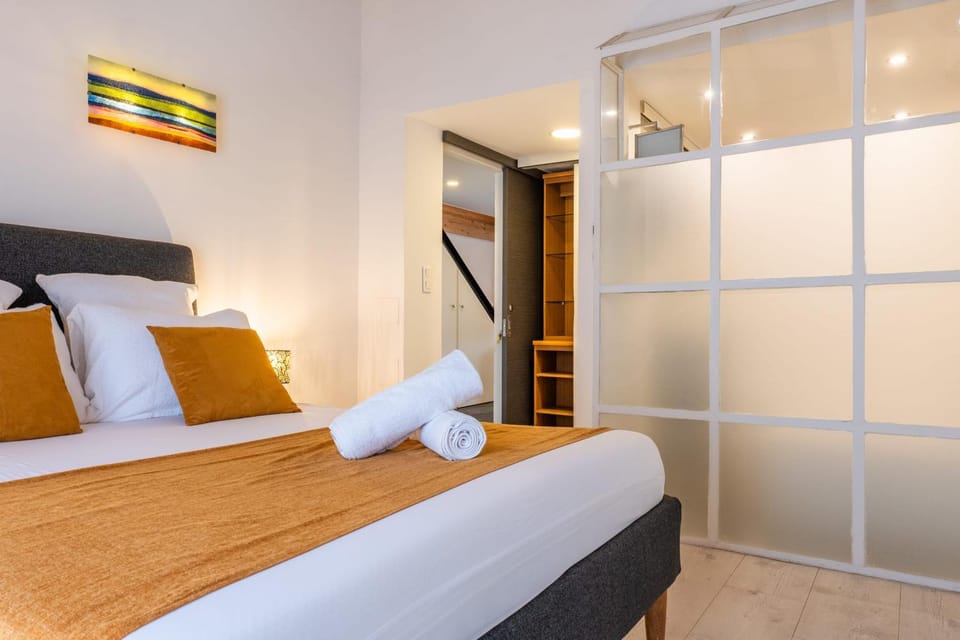 Spacious Duplex in the Heart of Cannes Apartment in Cannes