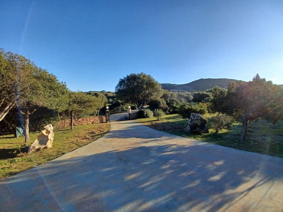 La Casa del Mirto Bed and Breakfast in Sardinia