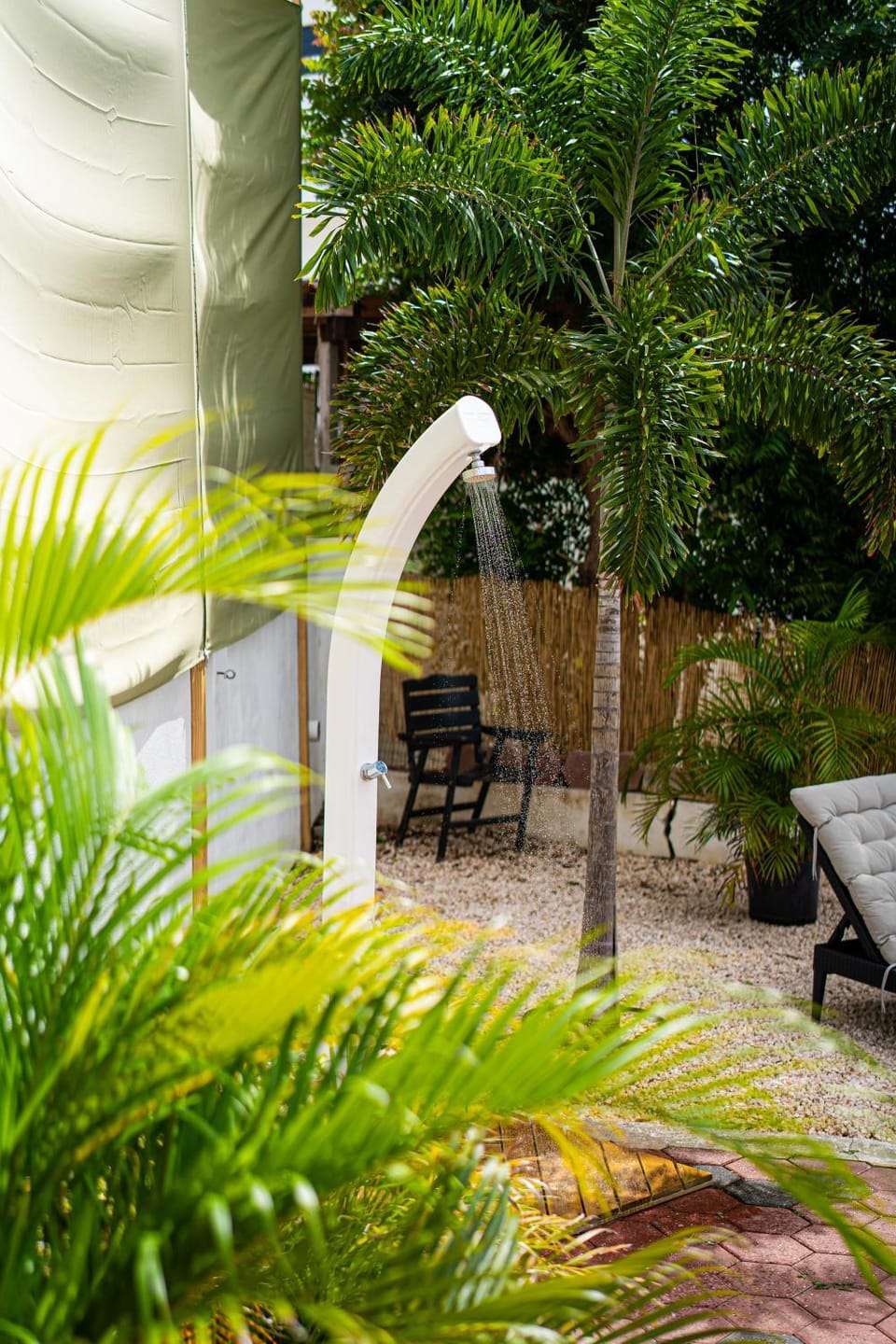 Garden, Garden view, Swimming pool