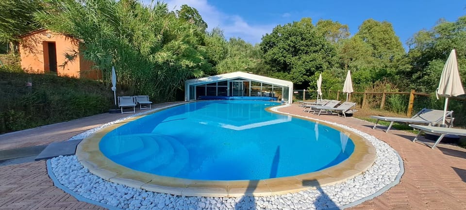 Pool view, Swimming pool