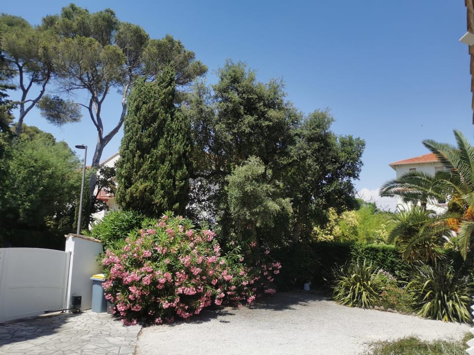 Villa Lou Penequet Villa in Fréjus
