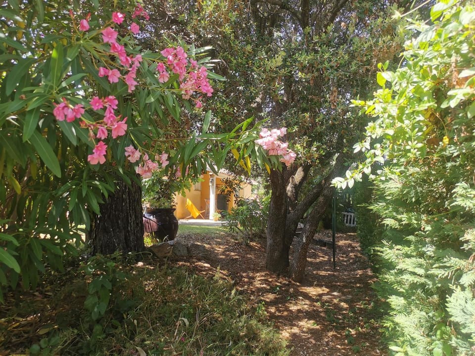 Villa Lou Penequet Villa in Fréjus