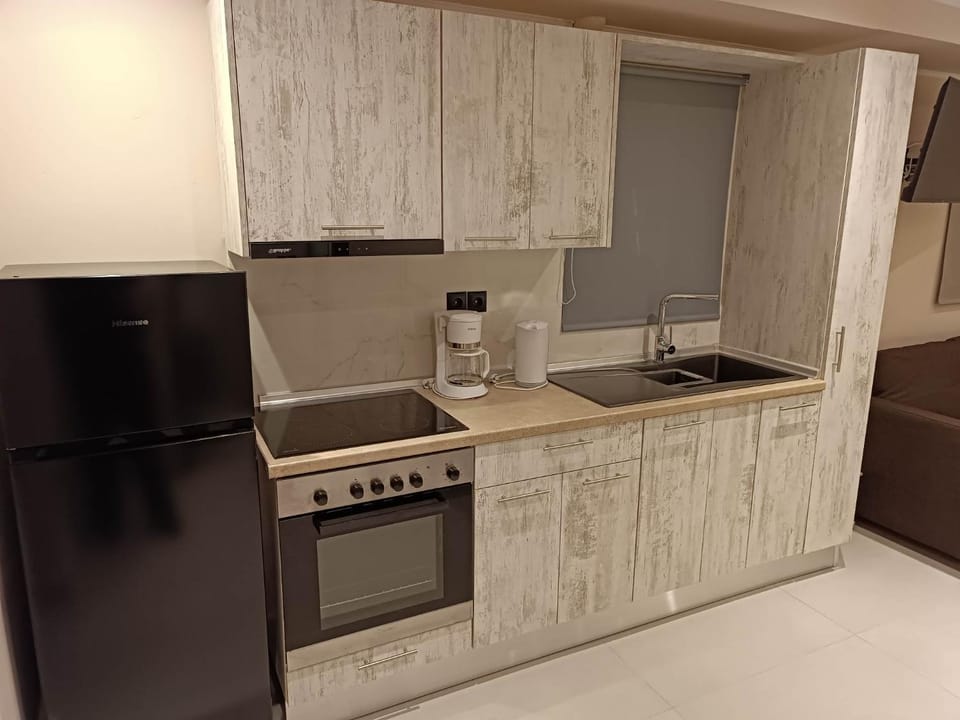 Kitchen or kitchenette, dishwasher, minibar, stove