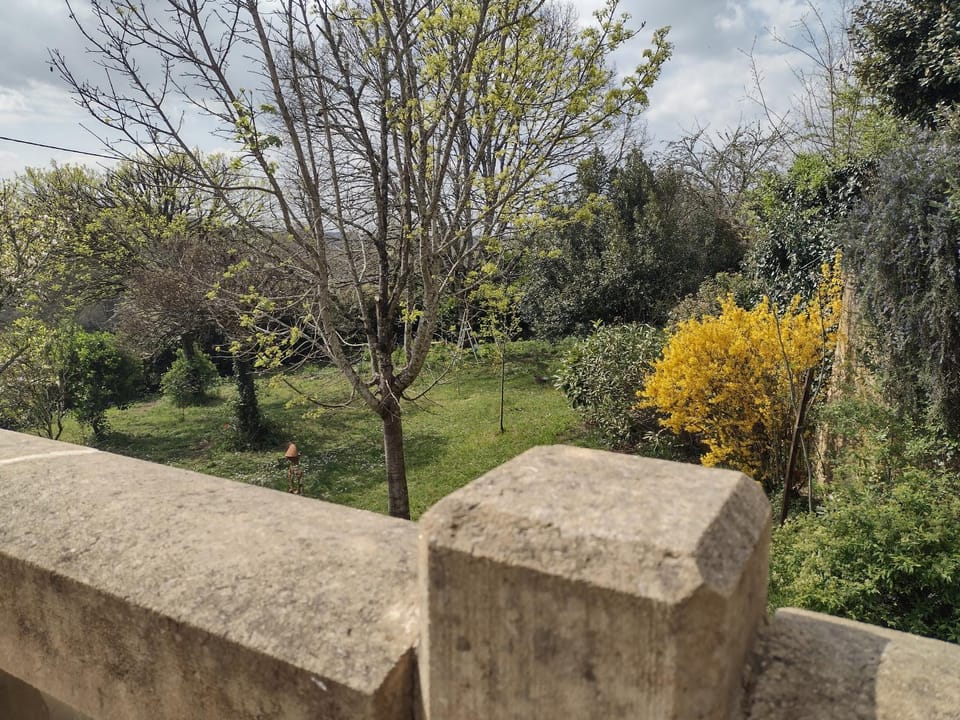 Garden view