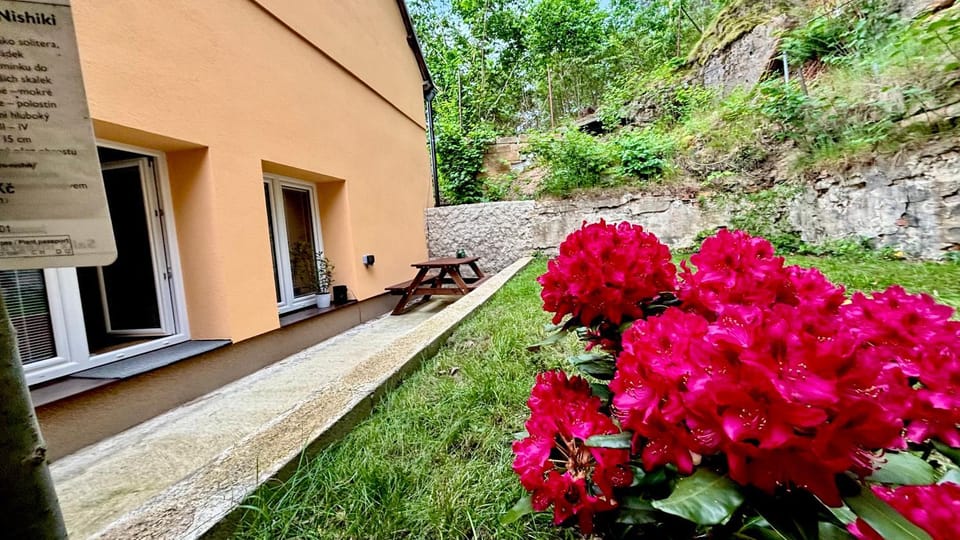 Property building, Spring, Day, Natural landscape, Garden, Garden, Garden view
