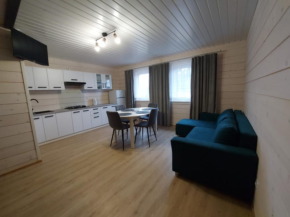 Kitchen or kitchenette, Living room, Seating area, Dining area, stove