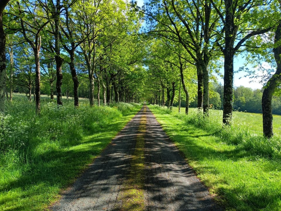 Natural landscape