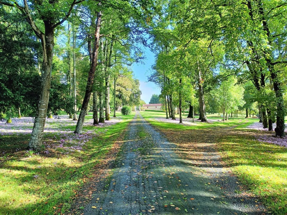 Natural landscape