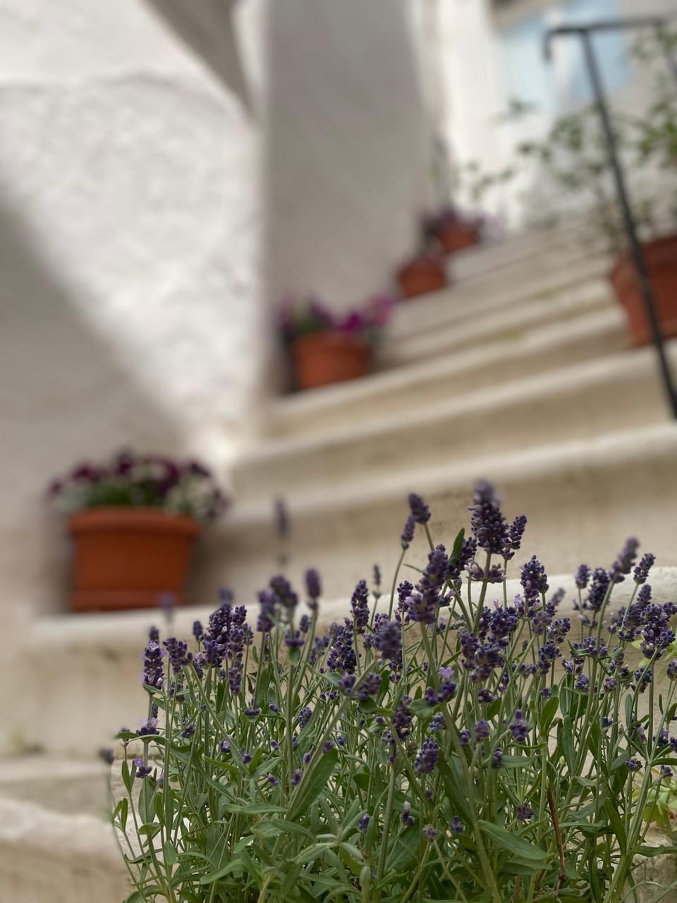 Le Mie Meraviglie Apartment in Martina Franca