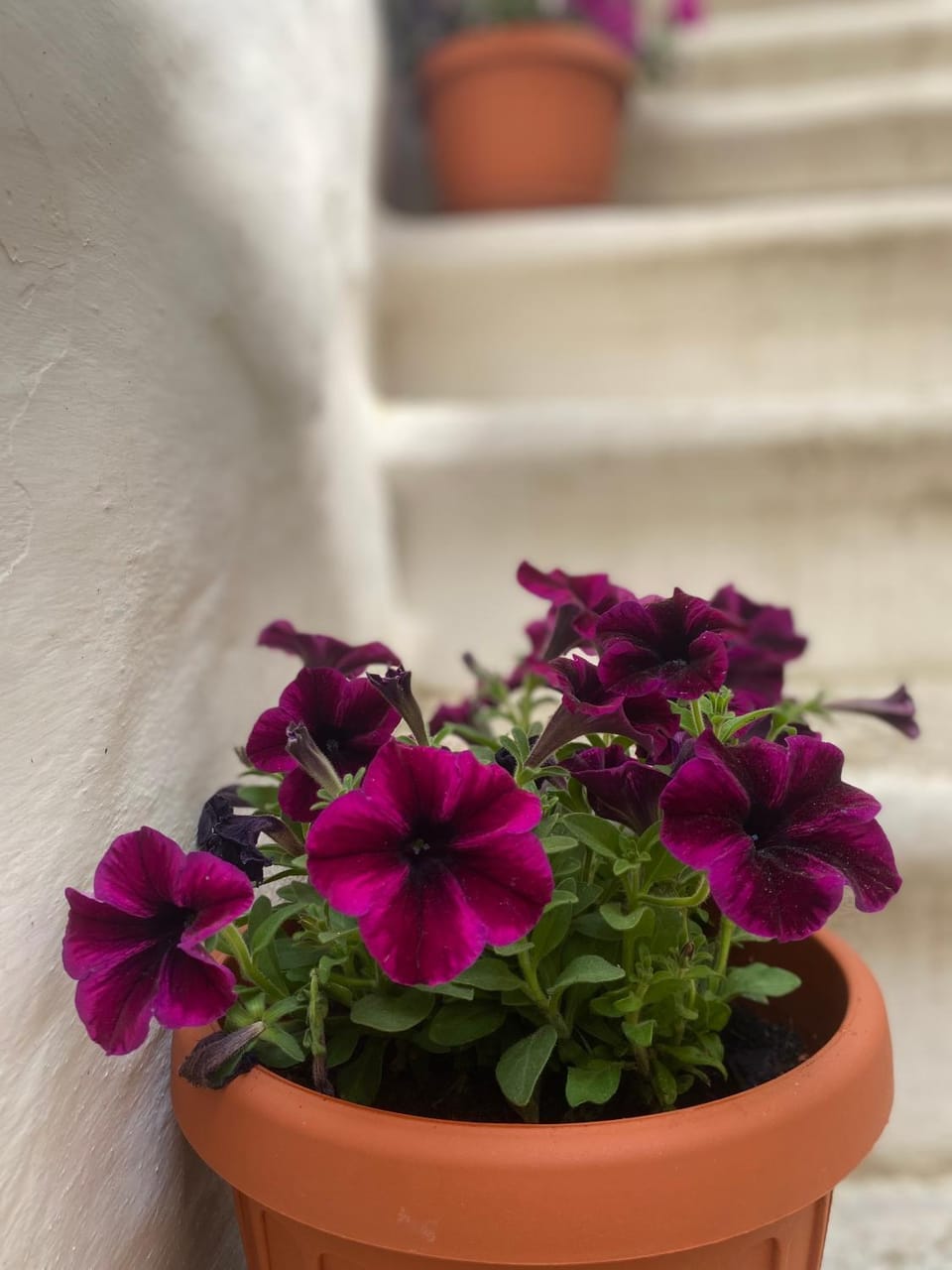 Le Mie Meraviglie Apartment in Martina Franca