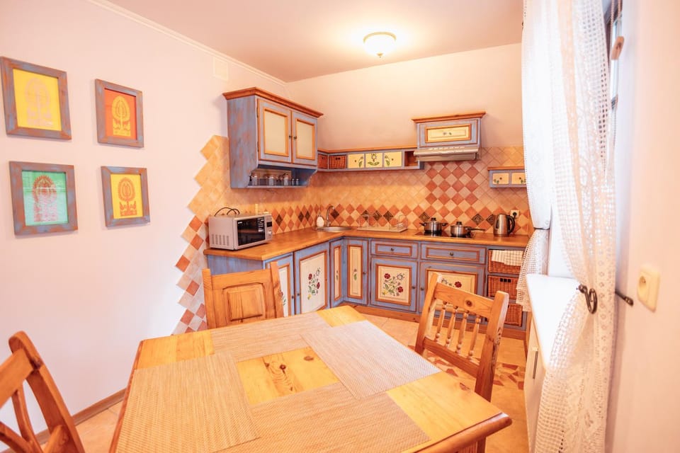 Kitchen or kitchenette, minibar, stove, toaster