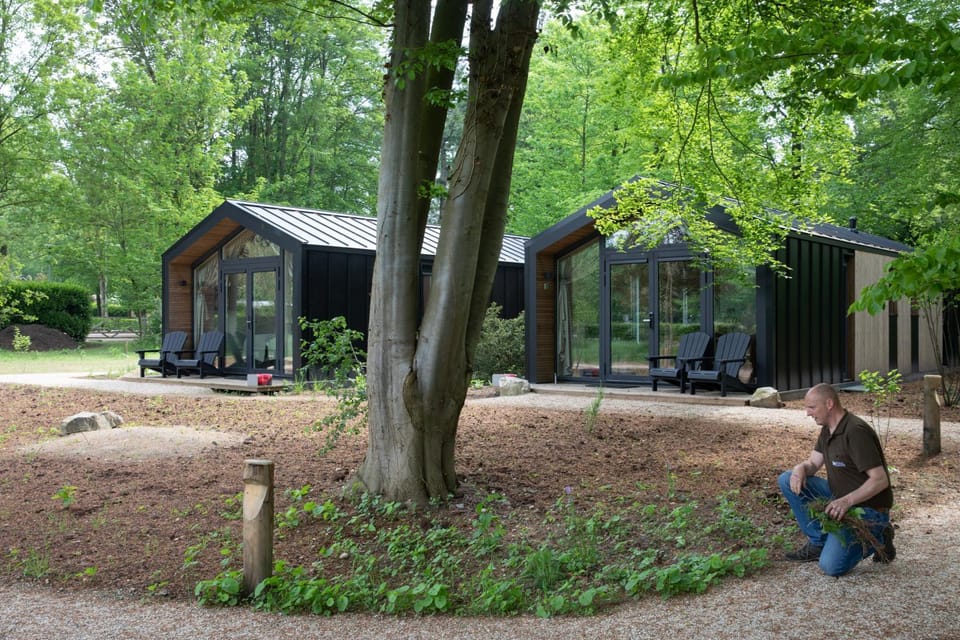 Garden, Garden view