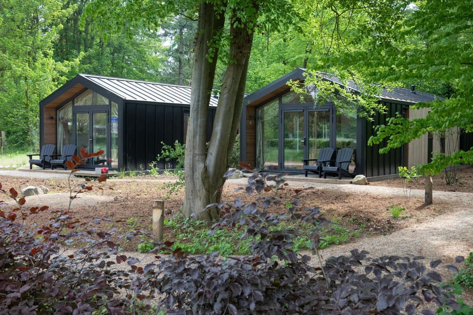 Natural landscape, Garden view
