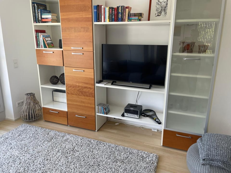 TV and multimedia