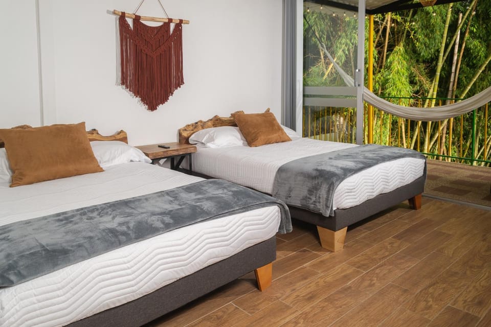 Bed, Photo of the whole room
