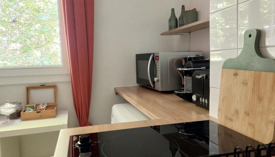 Ile verte entre CHU & vieille ville Apartment in Grenoble