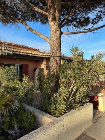 VILLA DU PIN - Les pieds dans l'eau - Gruissan Plage du Grazel House in Gruissan