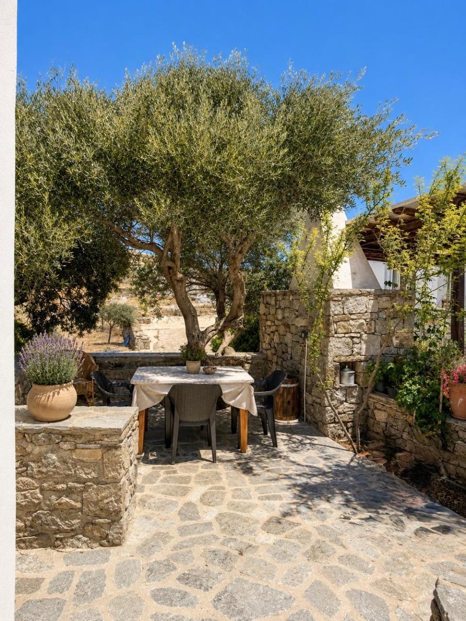 Garden, Garden view