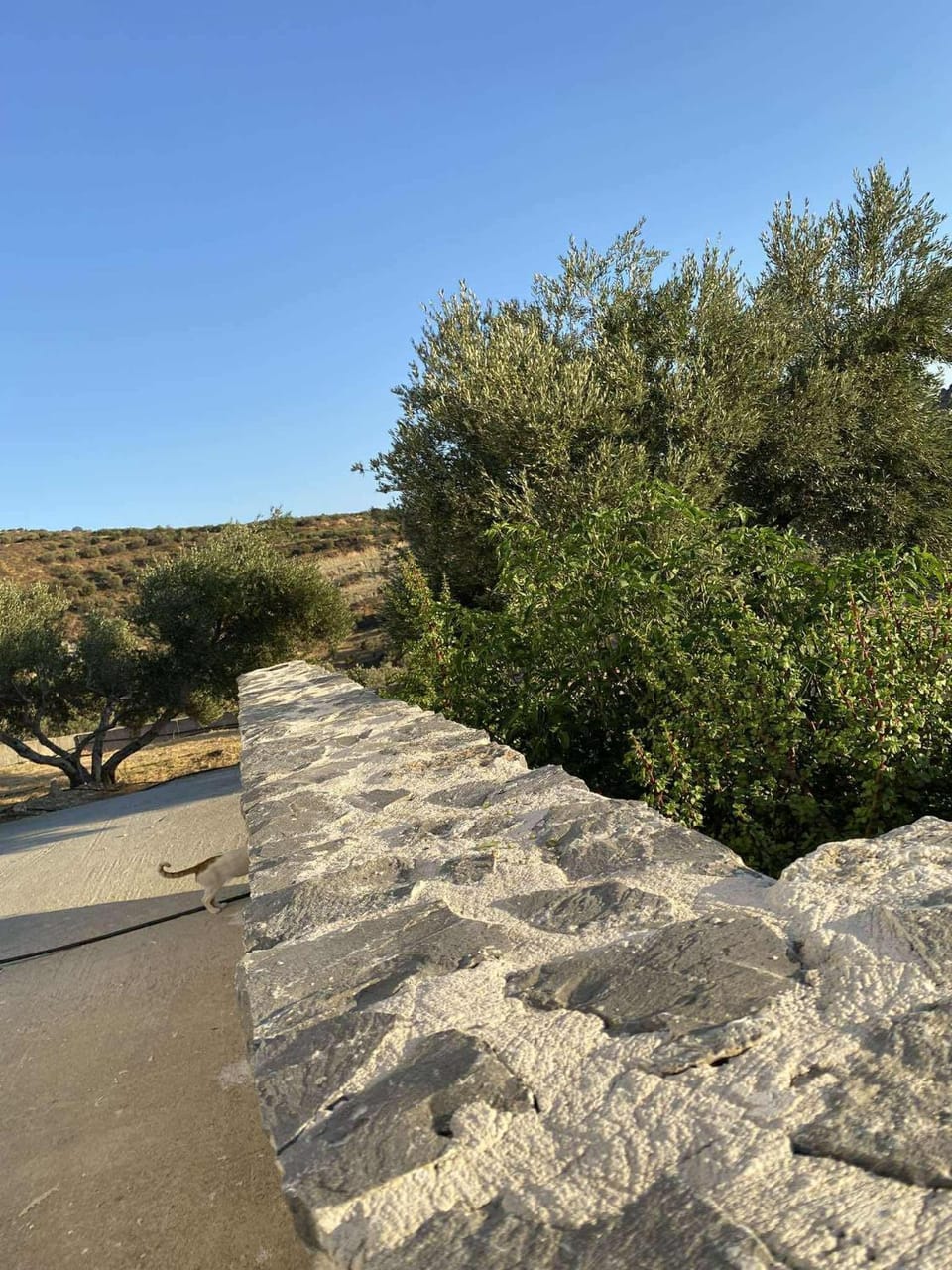 Rouvas Villas Villa in Crete