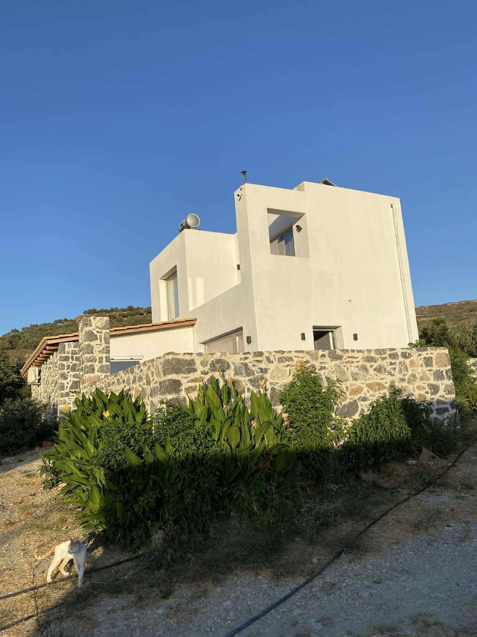 Rouvas Villas Villa in Crete