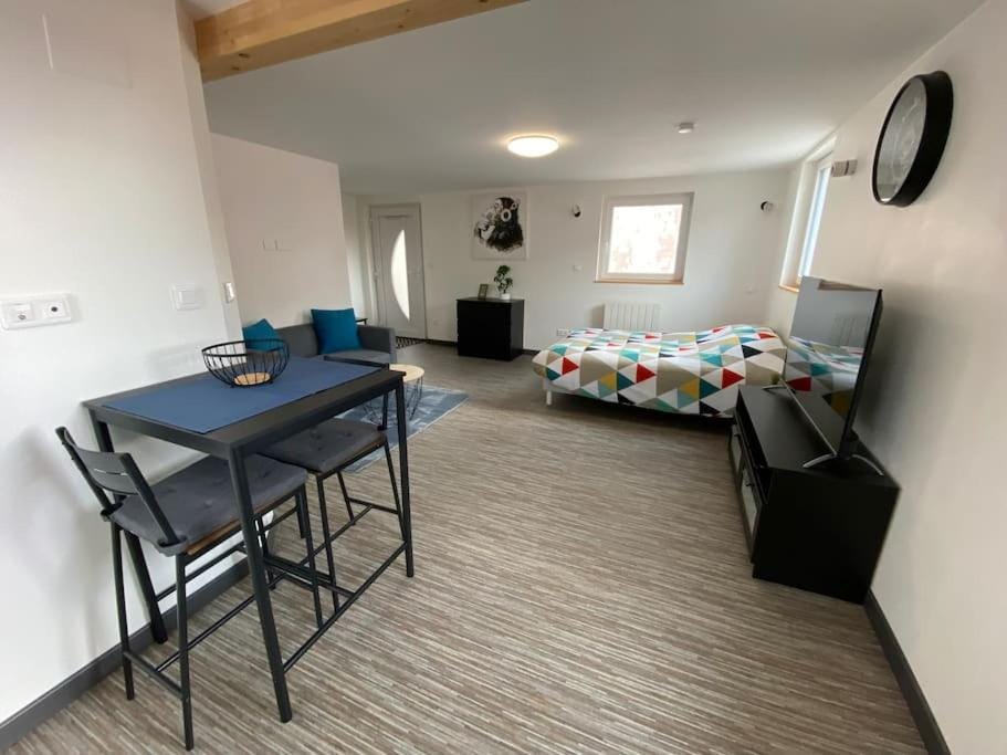 Studio lumineux, à 2 minutes de Colmar Apartment in Colmar