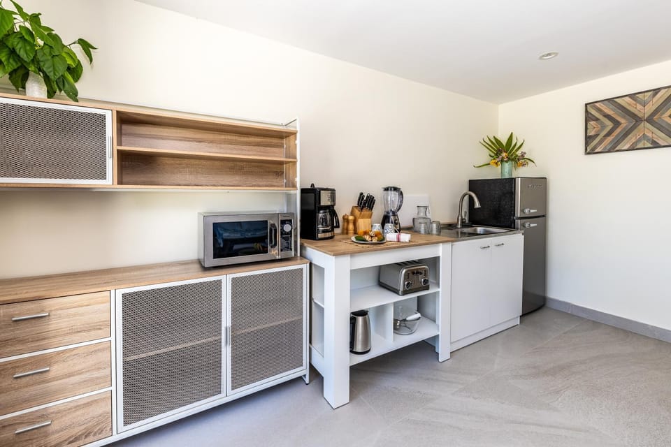 Coffee/tea facilities, Kitchen or kitchenette, minibar, toaster