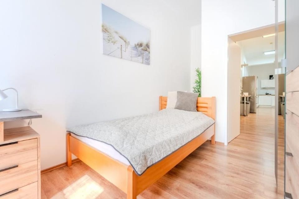 Große Stadtwohnung im Zentrum Apartment in Austria