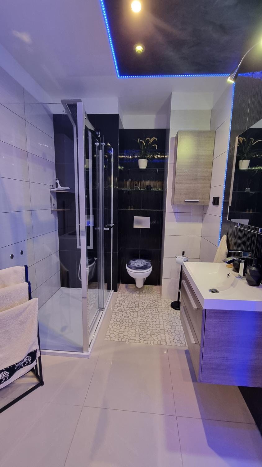 Toilet, Bathroom