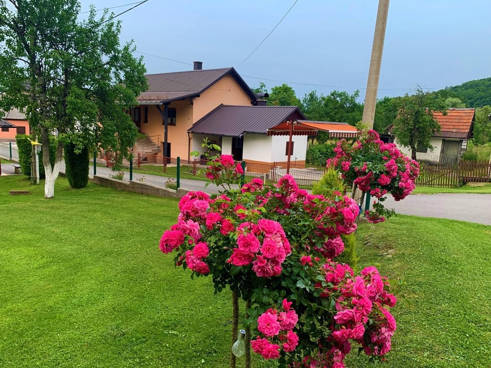Property building, Natural landscape, Garden