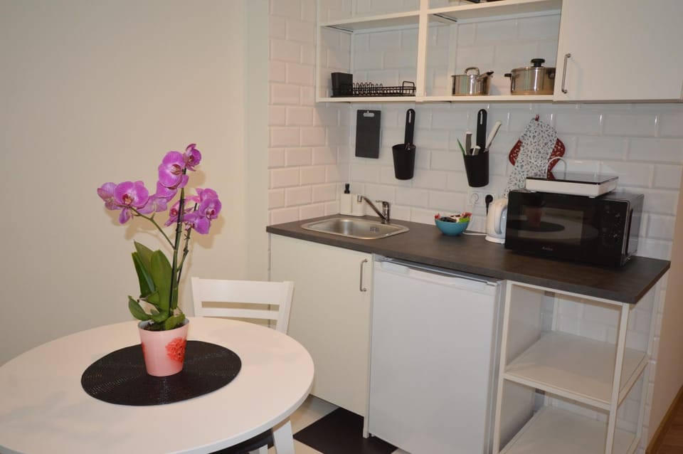 Coffee/tea facilities, Kitchen or kitchenette, minibar, stove