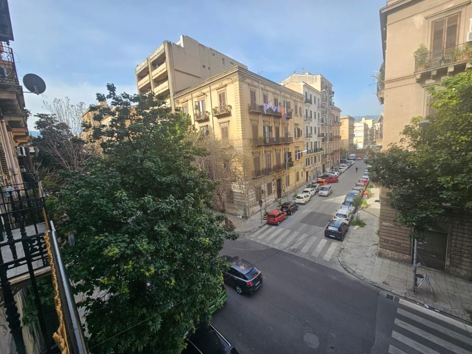 City view, Street view