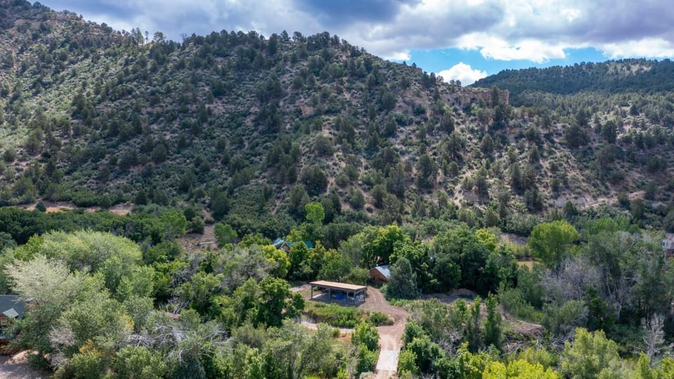 The Blue Jay at Zen Zion House in Glendale