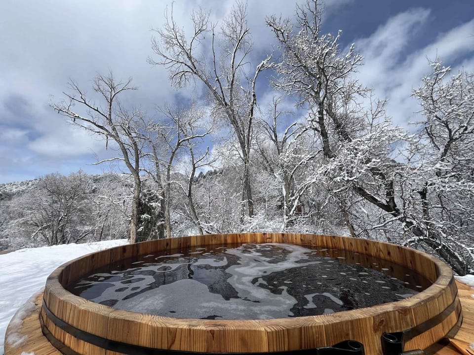 The Blue Jay at Zen Zion House in Glendale