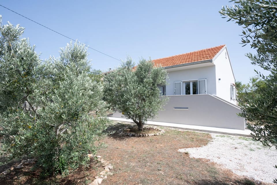 Property building, Spring, Day, Garden, Garden view