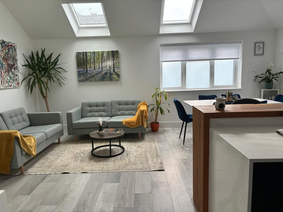 Brand New Big House with garden and free parking House in Brentford