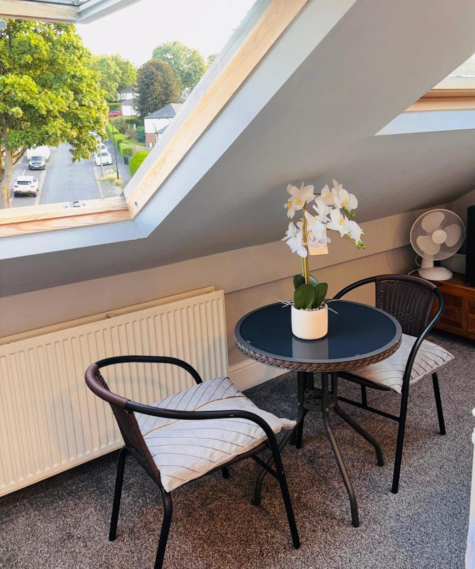 Day, Seating area, Dining area