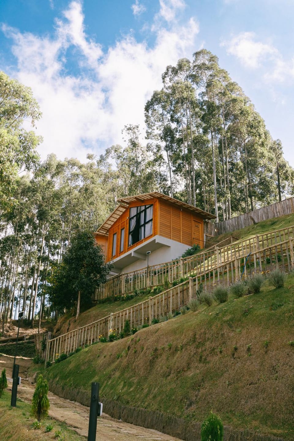 Property building, Natural landscape, Garden