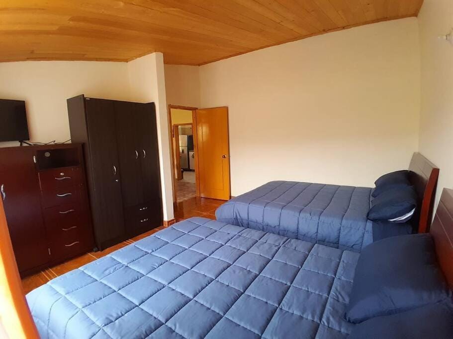Photo of the whole room