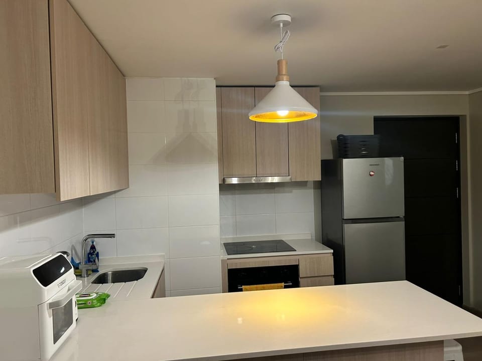 Kitchen or kitchenette, oven