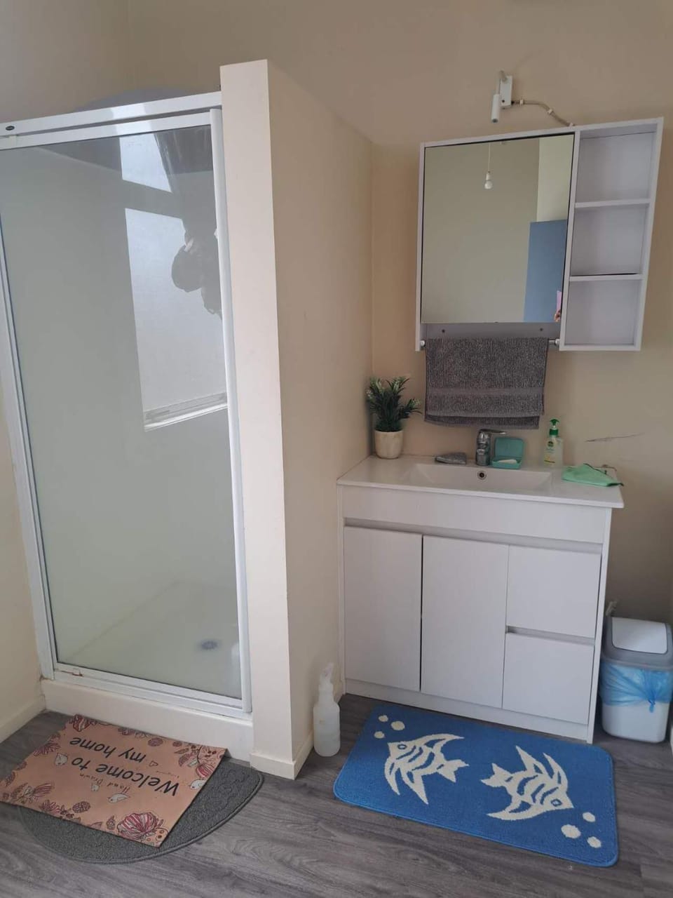 SUSAN'S SWEET HOME Hamilton CBD Vacation rental in Hamilton