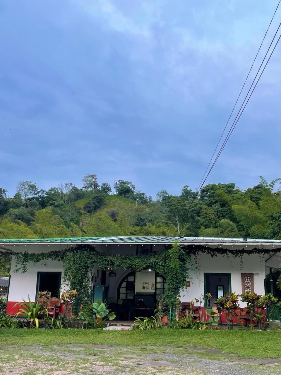 Garden view