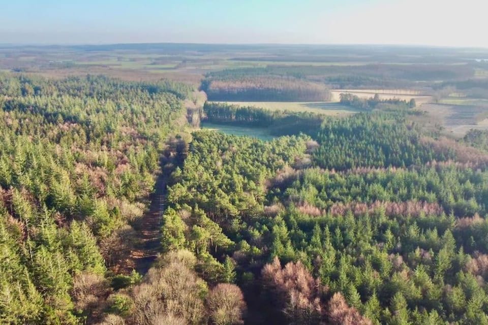Hundefreundliches Ferienhaus am Wingster Wald Dog-Friendly Holiday Home House in Lower Saxony, Germany