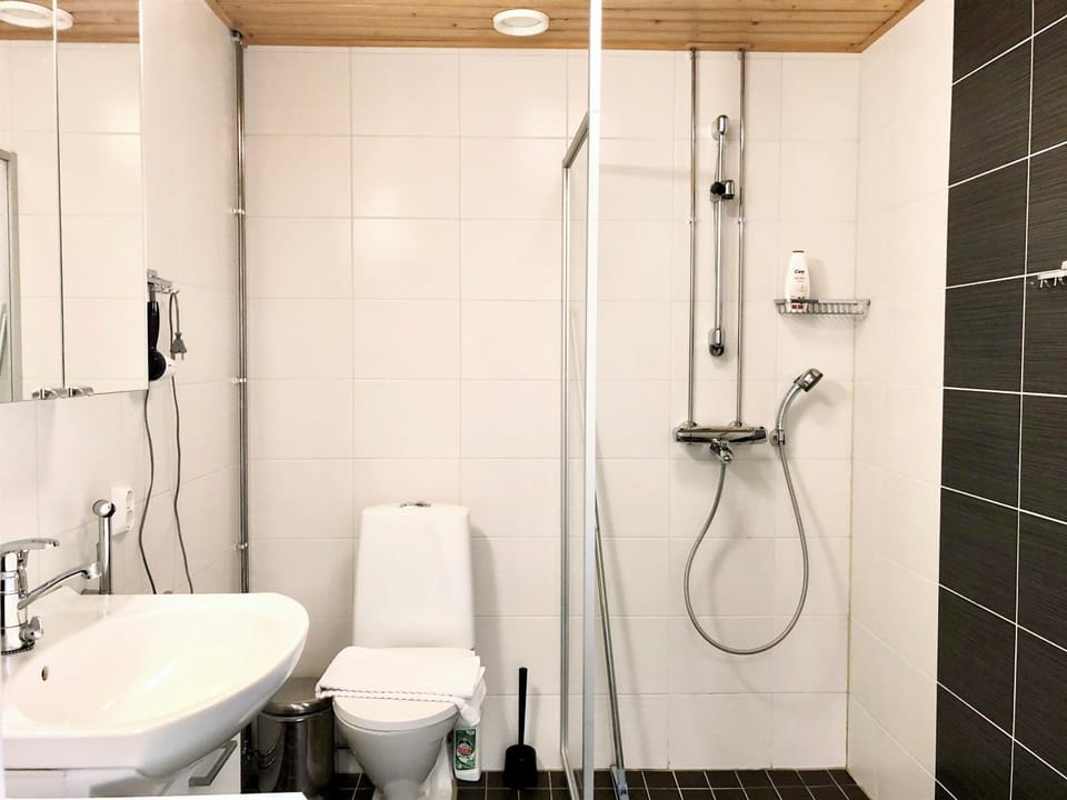 Shower, Toilet, Bathroom, bidet