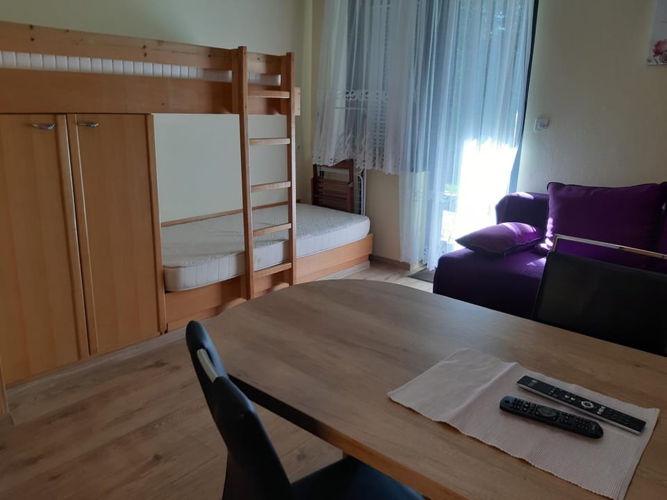 Apartma Rogla Gaber 110 Apartment in Slovenia