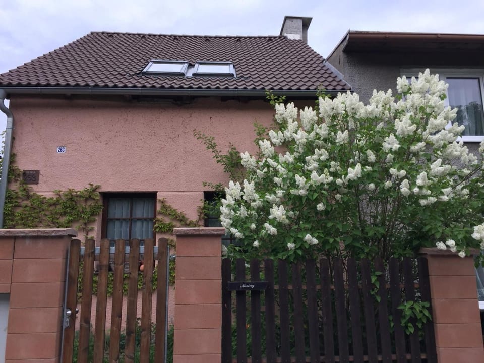 Na Husovce House in Czechia