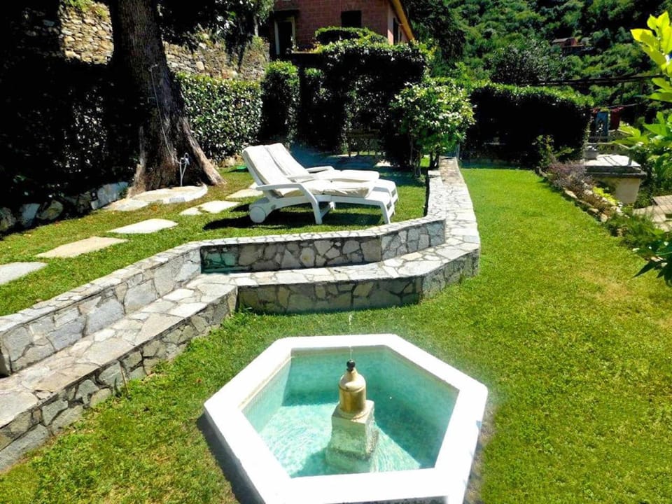 Garden, Garden view, sunbed